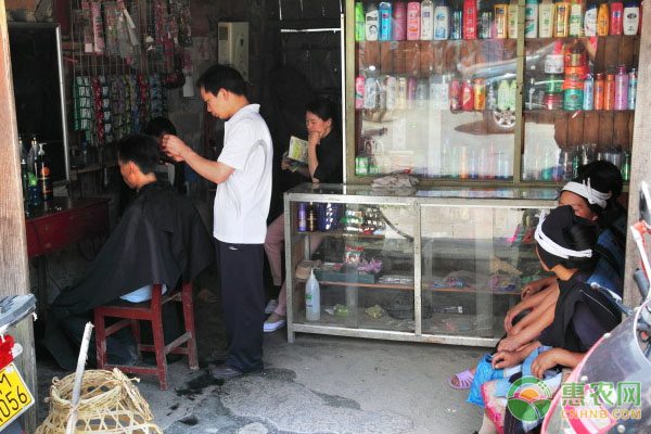 洪湖清水蟹品质优良 销售火热-绿源新宇生物有机肥官网