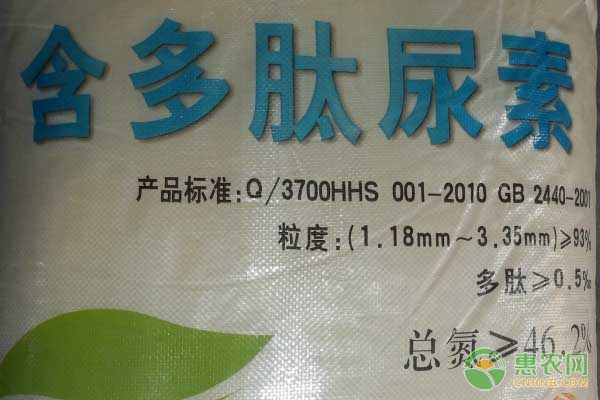 市场导向助力木耳菜种植 北方需求旺盛促价格上涨-绿源新宇生物有机肥官网 市场导向助力木耳菜种植 北方需求旺盛促价格上涨-绿源新宇生物有机肥官网