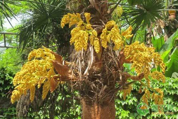 冬季奶牛饲养管理六大技术详解，保产护健康-绿源新宇生物有机肥官网