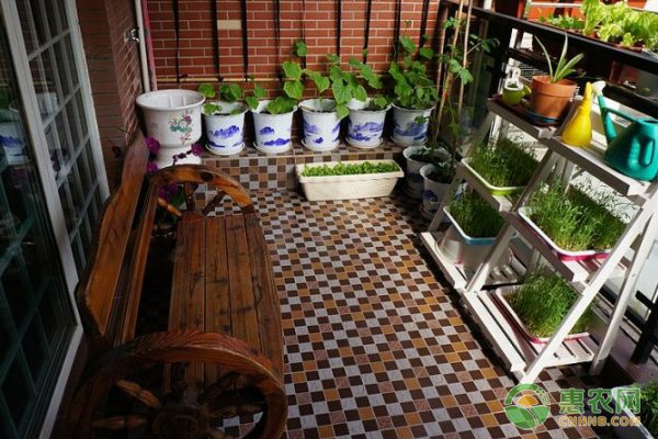 广西凌云白毫茶打造特色产业经济支柱-绿源新宇生物有机肥官网 广西凌云白毫茶打造特色产业经济支柱-绿源新宇生物有机肥官网