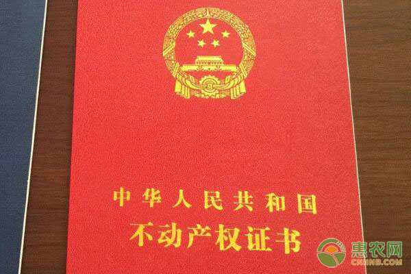 农产品批发市场 为城镇发展注入新动力