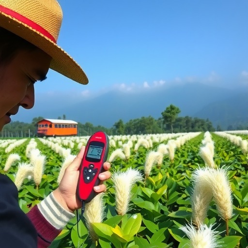 科学种植白毫茶促民增收