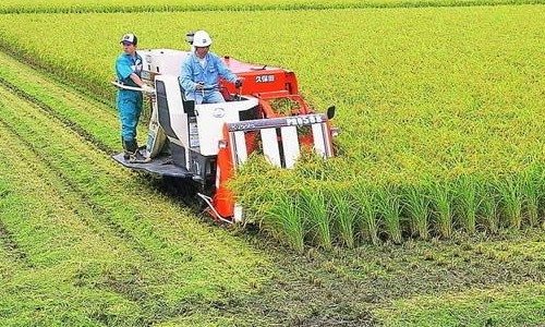 割晒机选购要点:型号、重量与价格如何选择-绿源新宇生物有机肥 割晒机选购要点:型号、重量与价格如何选择-绿源新宇生物有机肥