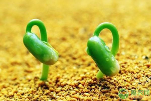 外地养殖户重庆养兔 集成生态处理技术助农增收-绿源新宇生物有机肥官网