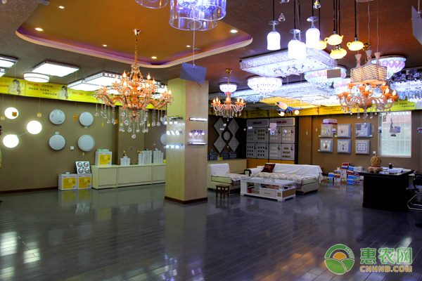 凌云县上谋村白毫茶种植助力茶农增收致富-绿源新宇生物有机肥官网