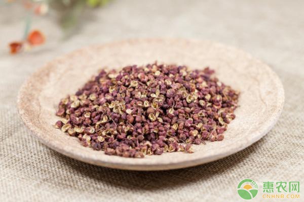 木耳菜销售热潮带动农户高收益-绿源新宇生物有机肥官网 木耳菜销售热潮带动农户高收益-绿源新宇生物有机肥官网