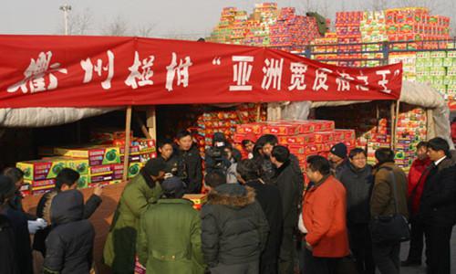 农产品电商与实体批发市场融合优势分析-绿源新宇生物有机肥官网 农产品电商与实体批发市场融合优势分析-绿源新宇生物有机肥官网