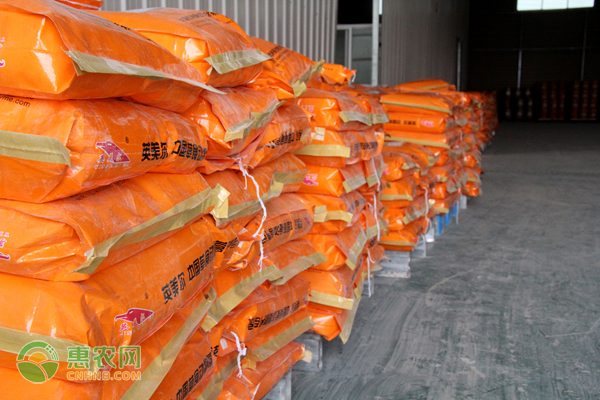 梁子湖河蟹出口台湾首单 销售火爆身价倍增-绿源新宇生物有机肥官网 梁子湖河蟹出口台湾首单 销售火爆身价倍增-绿源新宇生物有机肥官网