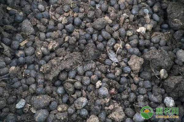 高温下河蟹逆袭丰收 河蟹养殖致富路-绿源新宇生物有机肥官网