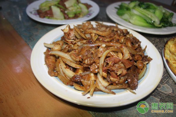 山区农业机械推广效率提升 关键在小型农机应用-绿源新宇生物有机肥官网
