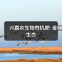 兴嘉农生物有机肥-金穗生态(图4) 兴嘉农生物有机肥-金穗生态(图4)