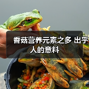 香菇营养元素之多 出乎人的意料（图1）