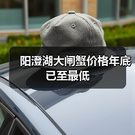 阳澄湖大闸蟹价格年底已至最低(图4) 阳澄湖大闸蟹价格年底已至最低(图4)