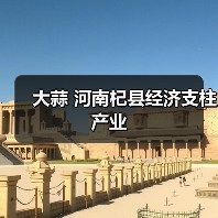 杞县大蒜价格动态影响全国市场销售-绿源新宇生物有机肥官网 杞县大蒜价格动态影响全国市场销售-绿源新宇生物有机肥官网