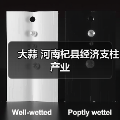 大蒜 河南杞县经济支柱产业(图4) 大蒜 河南杞县经济支柱产业(图4)