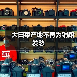 大白菜产地不再为销路发愁（图4）