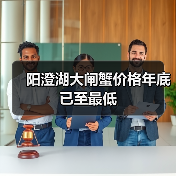 阳澄湖大闸蟹价格年底已至最低(图2) 阳澄湖大闸蟹价格年底已至最低(图2)