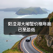 阳澄湖大闸蟹价格年底已至最低(图1) 阳澄湖大闸蟹价格年底已至最低(图1)