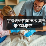 掌握去雄四项技术 夏玉米优质增产(图4) 掌握去雄四项技术 夏玉米优质增产(图4)