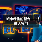 城市绿化的新宠——加拿大紫荆(图2) 城市绿化的新宠——加拿大紫荆(图2)
