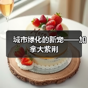 城市绿化的新宠——加拿大紫荆(图3) 城市绿化的新宠——加拿大紫荆(图3)