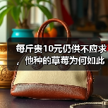 每斤贵10元仍供不应求，他种的草莓为何如此倍受“宠爱”？（图1）