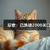 尿素：已跌破2000关口（图4）