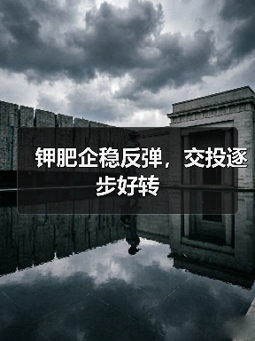 钾肥企稳反弹，交投逐步好转（图3）