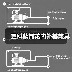 豆科紫荆花内外美兼具（图3）