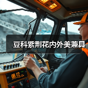 豆科紫荆花内外美兼具（图4）