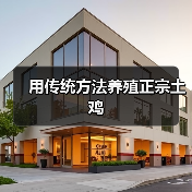 用传统方法养殖正宗土鸡(图4) 用传统方法养殖正宗土鸡(图4)