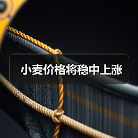 小麦价格将稳中上涨(图1) 小麦价格将稳中上涨(图1)