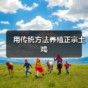 用传统方法养殖正宗土鸡(图3) 用传统方法养殖正宗土鸡(图3)