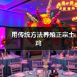 用传统方法养殖正宗土鸡(图2) 用传统方法养殖正宗土鸡(图2)
