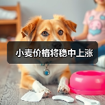 小麦价格将稳中上涨(图3) 小麦价格将稳中上涨(图3)