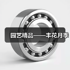 丰花月季为何成为园林园艺爱好者的宠儿-绿源新宇生物有机肥官网 丰花月季为何成为园林园艺爱好者的宠儿-绿源新宇生物有机肥官网
