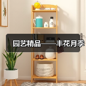 园艺精品——丰花月季(图4) 园艺精品——丰花月季(图4)