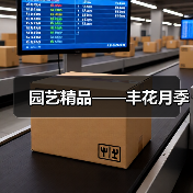 园艺精品——丰花月季(图3) 园艺精品——丰花月季(图3)