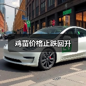 鸡苗价格止跌回升(图2) 鸡苗价格止跌回升(图2)