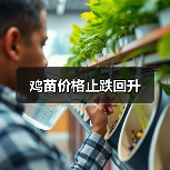 全球鸡苗价格波动:禽流感冲击后的行业复苏之路-绿源新宇生物有 全球鸡苗价格波动:禽流感冲击后的行业复苏之路-绿源新宇生物有