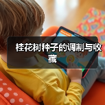 桂花树种子的调制与收藏（图3）