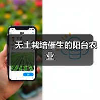 无土栽培催生的阳台农业(图2) 无土栽培催生的阳台农业(图2)