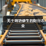 阳台农业无土栽培发展趋势解析-绿源新宇生物有机肥官网 阳台农业无土栽培发展趋势解析-绿源新宇生物有机肥官网