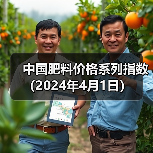 中国肥料价格系列指数（2024年4月1日）（图3）