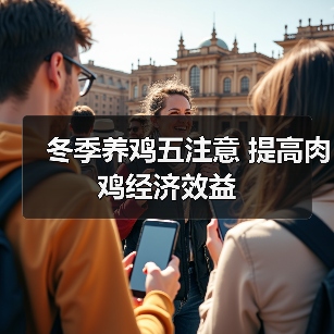 冬季养鸡五注意 提高肉鸡经济效益（图2）