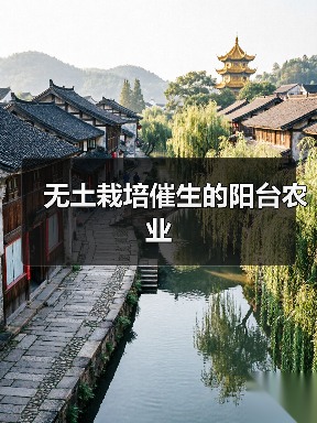 无土栽培催生的阳台农业(图4) 无土栽培催生的阳台农业(图4)