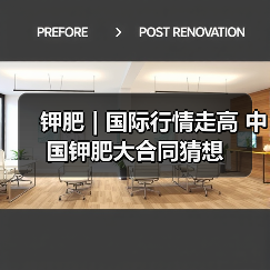 钾肥 | 国际行情走高 中国钾肥大合同猜想（图4）