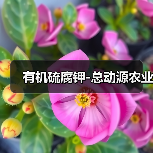 有机硫腐钾-总动源农业(图3) 有机硫腐钾-总动源农业(图3)