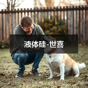 液体硅-世喜（图1）