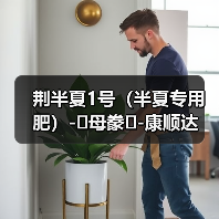 荆半夏1号(半夏专用肥)-�母豢�-康顺达(图3) 荆半夏1号(半夏专用肥)-�母豢�-康顺达(图3)